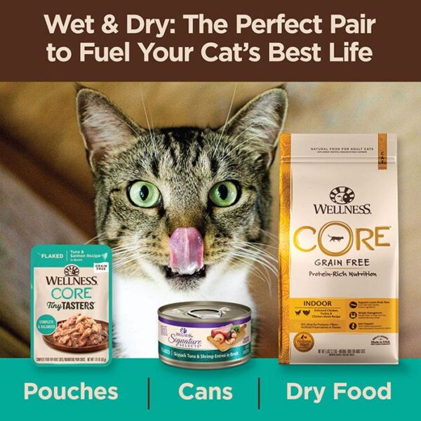 Tiny Tasters Tuna Salmon Broth Cat Pouch 50g x 12 - Image 8