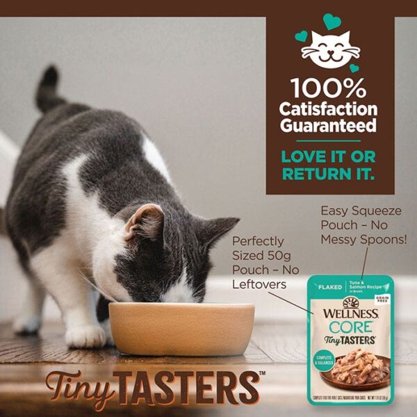 Tiny Tasters Tuna Salmon Broth Cat Pouch 50g x 12 - Image 2