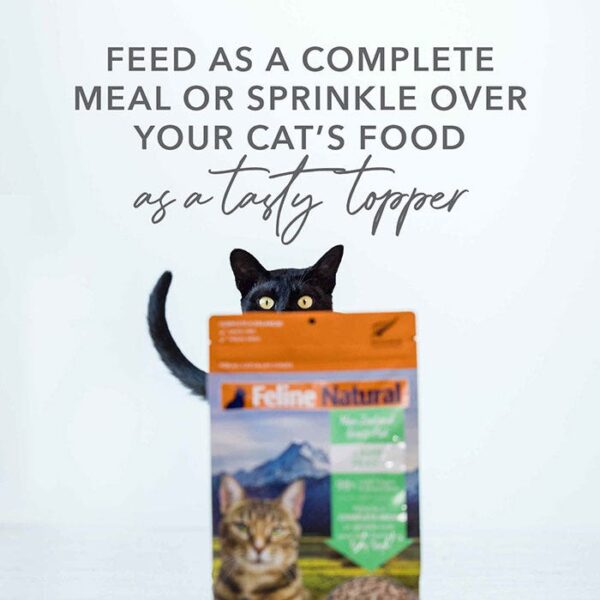 Freeze Dried Beef Adult Cat Food 320g - Image 6