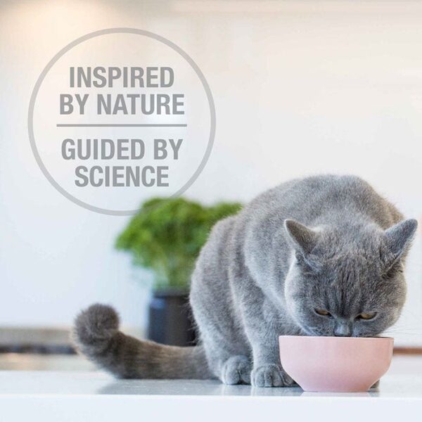 Freeze Dried Lamb Adult Cat Food 320g - Image 6