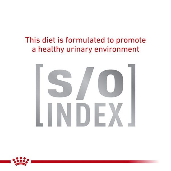 Anallergenic Adult Cat Food - Image 5