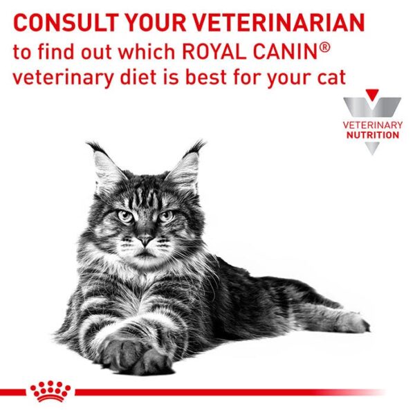 Anallergenic Adult Cat Food - Image 8