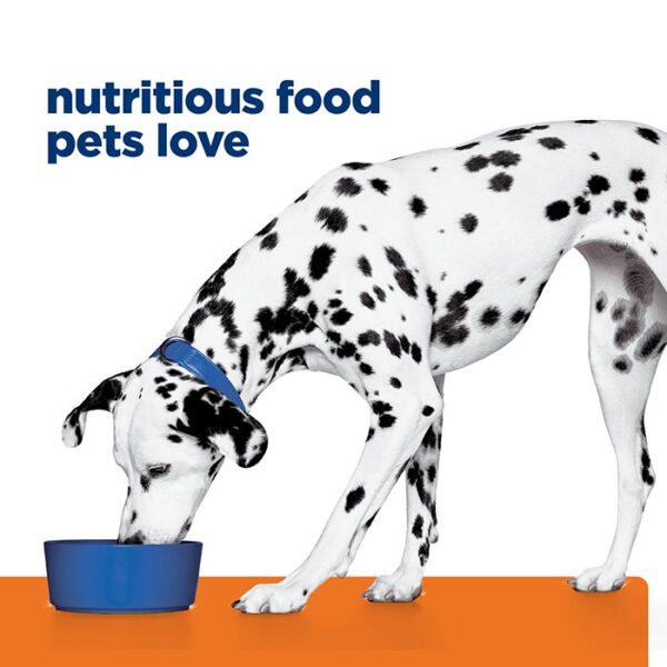 U/D Urinary Care Dog Wet Food Can 370g x 12 - Image 3