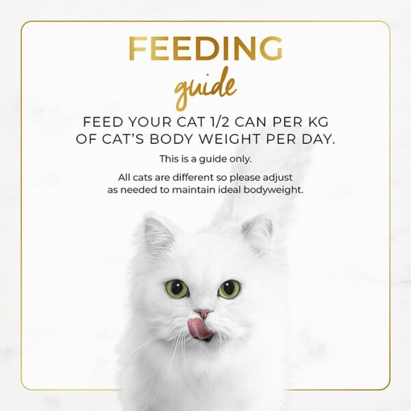 Beef & Chicken Pate Cat Food Can 85gx24 - Image 5