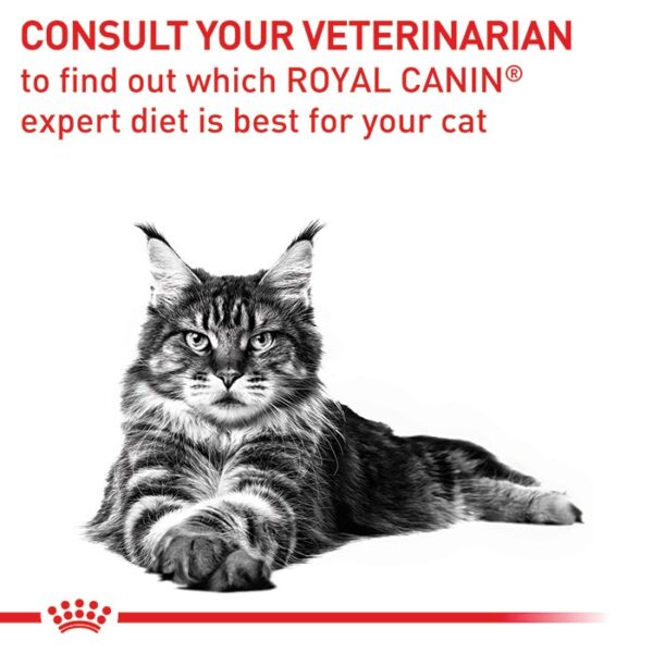 Consult Mature Cat Wet Food Pouch 85g x 12 - Image 5