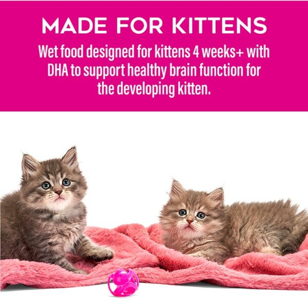 Variety Pack Kitten Food Can 68g-12PK - Image 5