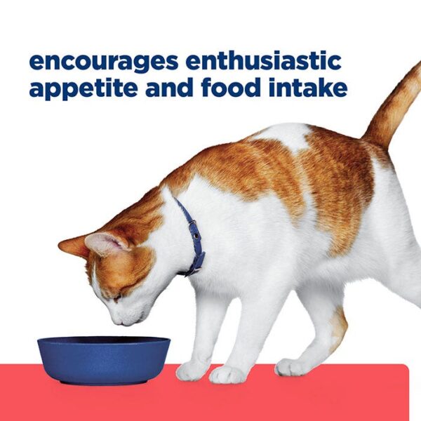 Onc Care Chicken Stew Cat Wet Food Can 82g x 24 - Image 12