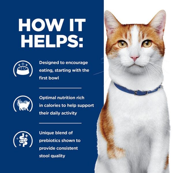 Onc Care Chicken Stew Cat Wet Food Can 82g x 24 - Image 13