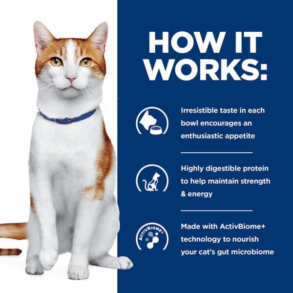 Onc Care Chicken Stew Cat Wet Food Can 82g x 24 - Image 11