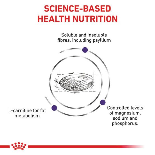 Neutered Satiety Balance Dry Cat Food - Image 2