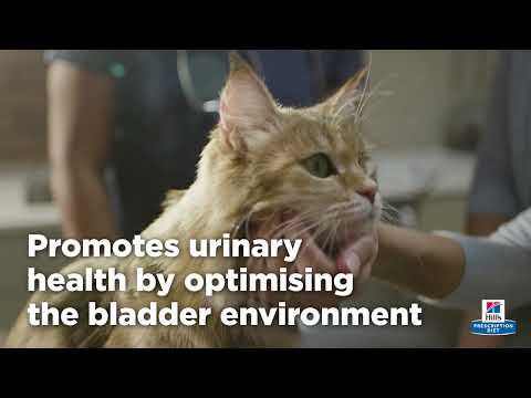 w/d Multi-Benefit Dry Cat Food 1.5kg