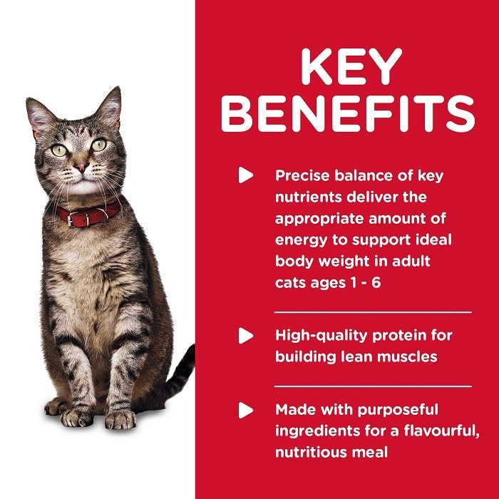 Tender Chicken Dinner Cat Food 156g x24 - Image 5