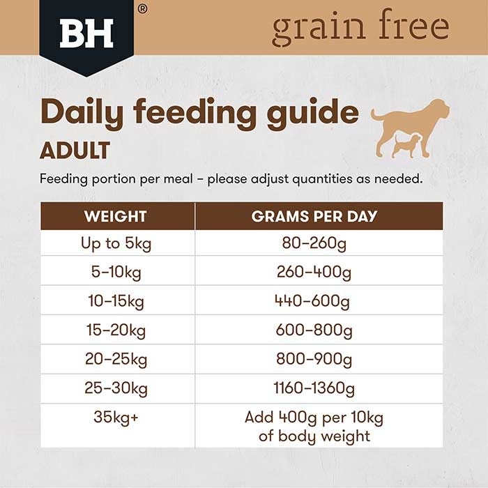 Grain Free Holistic Dog Food Beef 12 x 400g - Image 6
