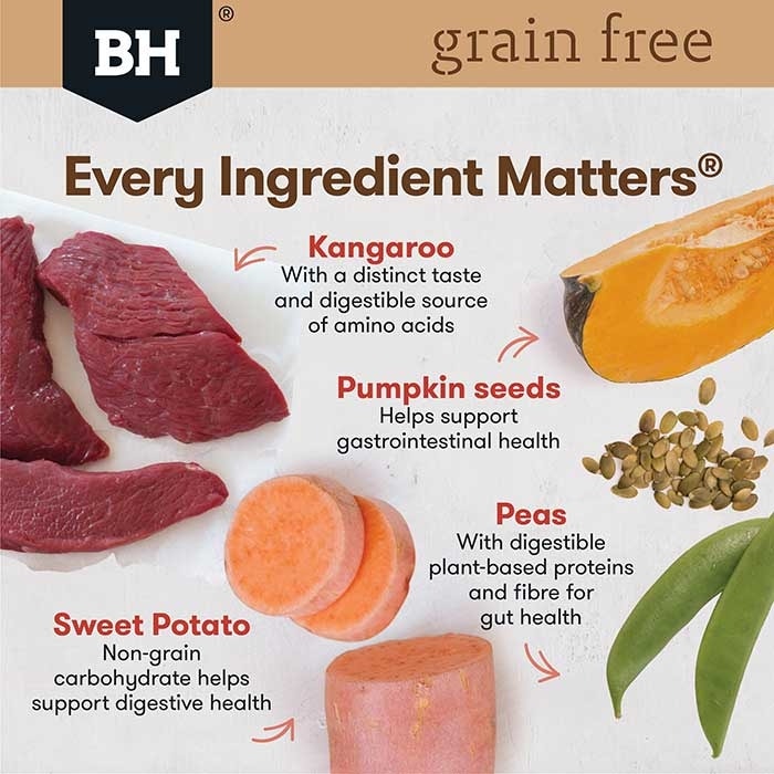 Grain Free Kangaroo Adult Dog Food - Image 4