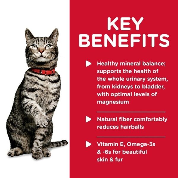 Adult Cat Food Urinary Hairball Control 82g x24 - Image 4
