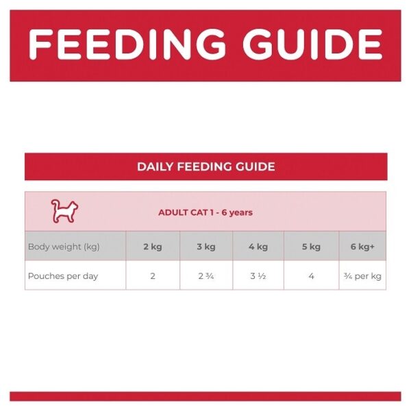 Chicken Adult Cat Wet Pouch 85g x12 - Image 6