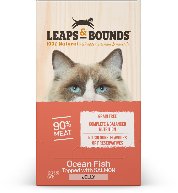 Fish Top wSalmon Jelly Cat Can 85g x 12 - Image 3