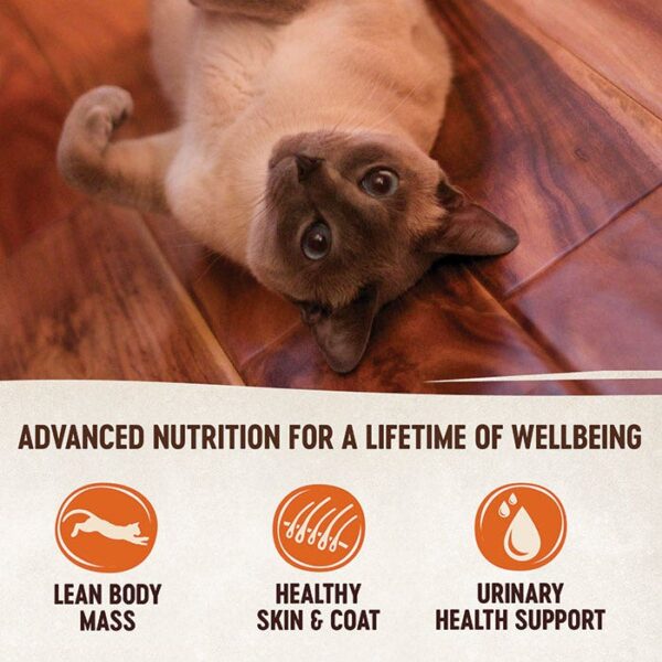 Chicken & Liver in Sauce Cat Tin 79g x 12 - Image 5
