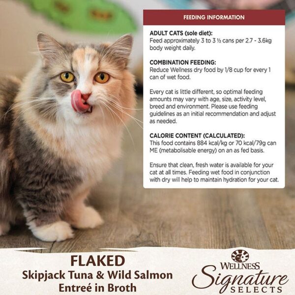 Skipjack Tuna Salmon Cat Tin 79g x 12 - Image 8