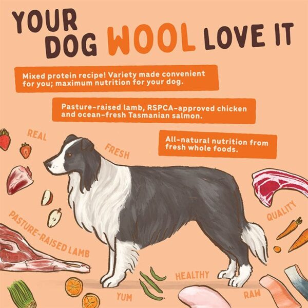 Barf Lamb Dog Patties 3kg - Image 4