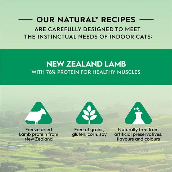 Freeze Dried Lamb Cat Treat 50g - Image 3