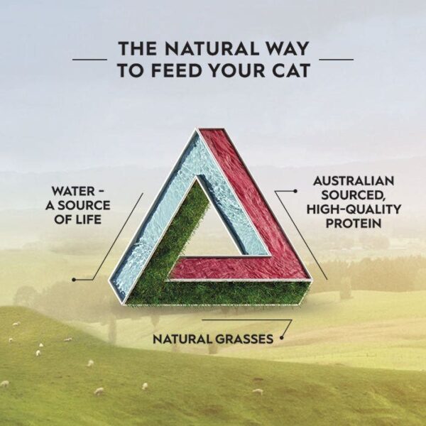 Freeze Dried Lamb Cat Treat 50g - Image 8