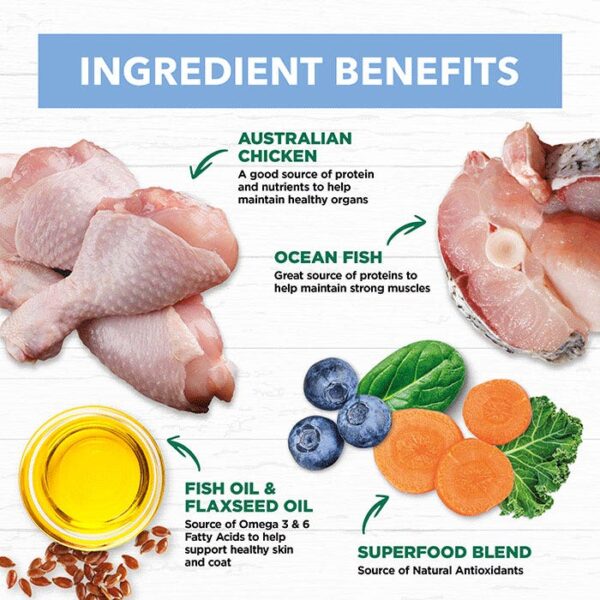 Grain Free Chicken & Ocean Fish Kitten Pouch 85g x 12 - Image 7