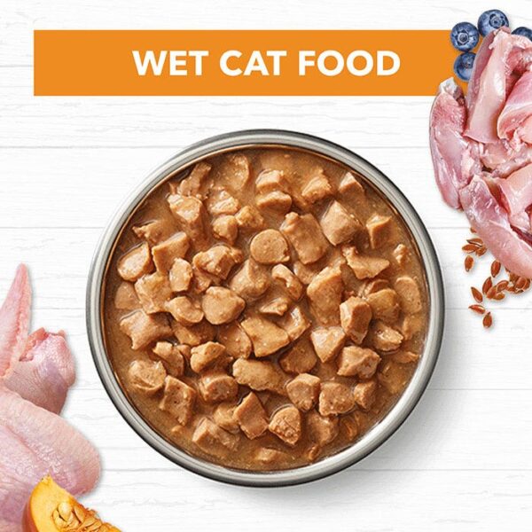Grain Free Chicken Gravy Adult Cat Pouch 85g x 12 - Image 10