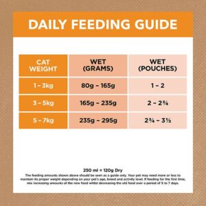 Grain Free Chicken Gravy Adult Cat Pouch 85g x 12