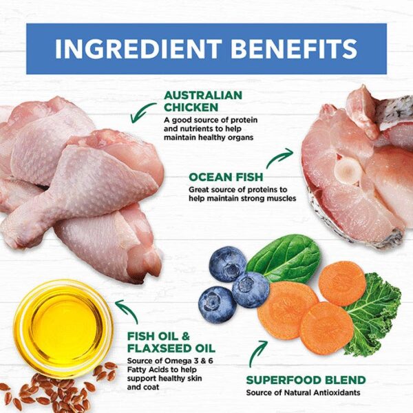 Grain Free Chicken & Ocean Fish Adult Pouch 85g x 12 - Image 5