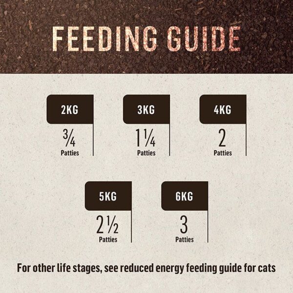 Frozen Kangaroo Cat Patties 1.38kg - Image 6