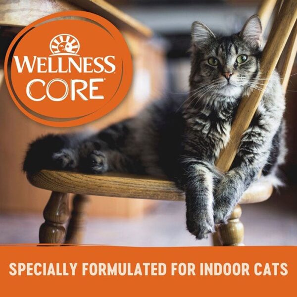 Chicken Pate Indoor Cat Food 79g x 12 - Image 2