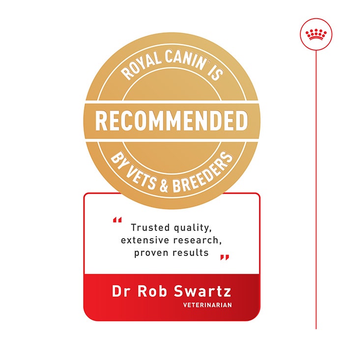 Sensory Smell Gravy Adult Cat Food Pouches 85g 12pk - Image 5