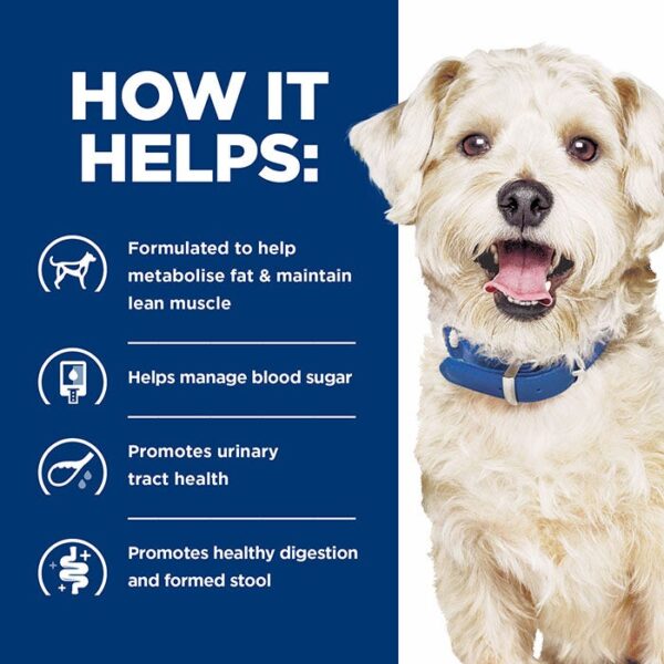 W/D Multi Benefit Adult Dog Food - Image 4