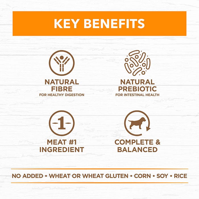 Grain Free Chicken Adult Dog Can 400g x 12 - Image 9