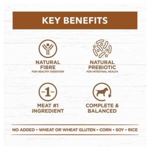 Grain Free Lamb & Kangaroo Adult Dog Can 400g x 12