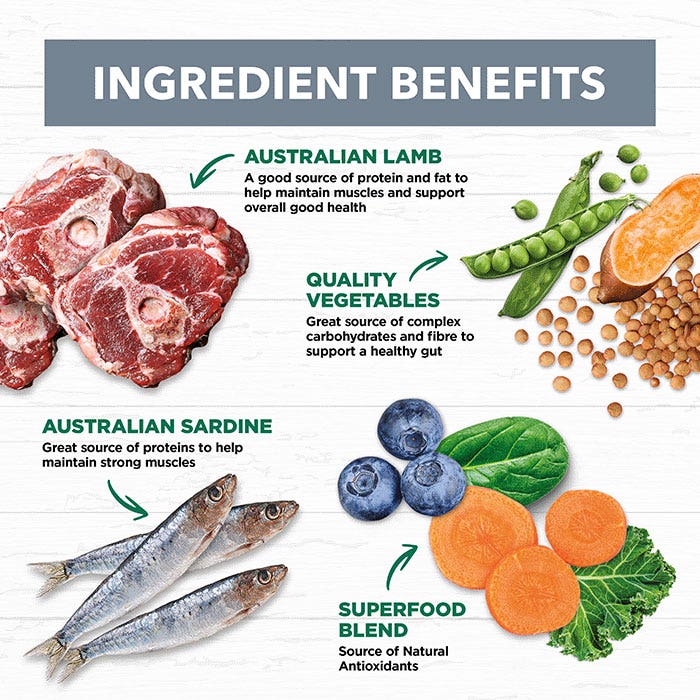 Grain Free Lamb & Sardine Adult Dog Can 400g x 12 - Image 11