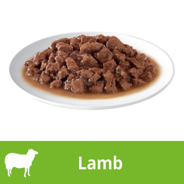Variety Pack Lamb Gravy Tuna Mornay Cat Food Tray 85g x 28 - Image 3