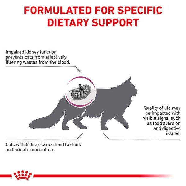 Renal Adult Cat Dry Food - Image 3