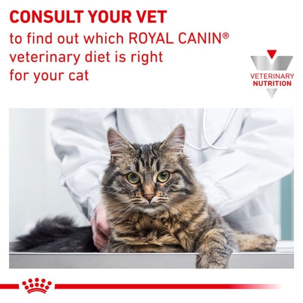 Renal Adult Cat Dry Food - Image 8