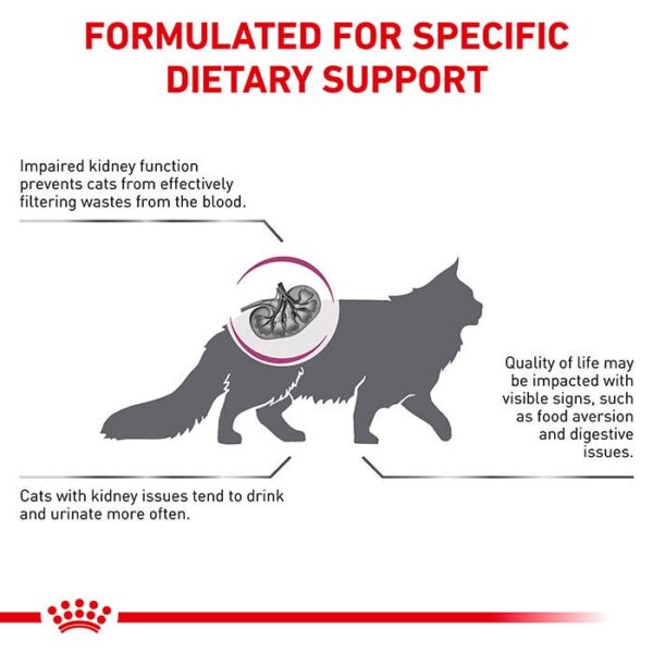 Renal Special Adult Cat Food 2kg - Image 2