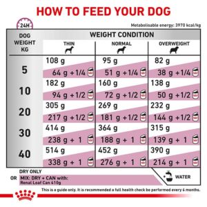 Renal Special Adult Dog Food 2kg