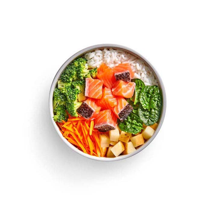 Salmon Bowl Adult Dog Meal 500g x 7 - Image 3