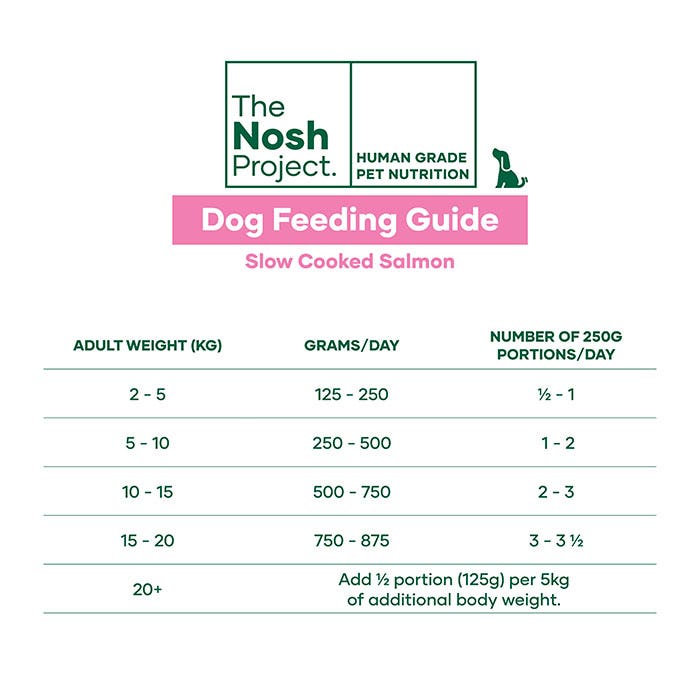 Salmon Bowl Adult Dog Meal 500g x 7 - Image 4