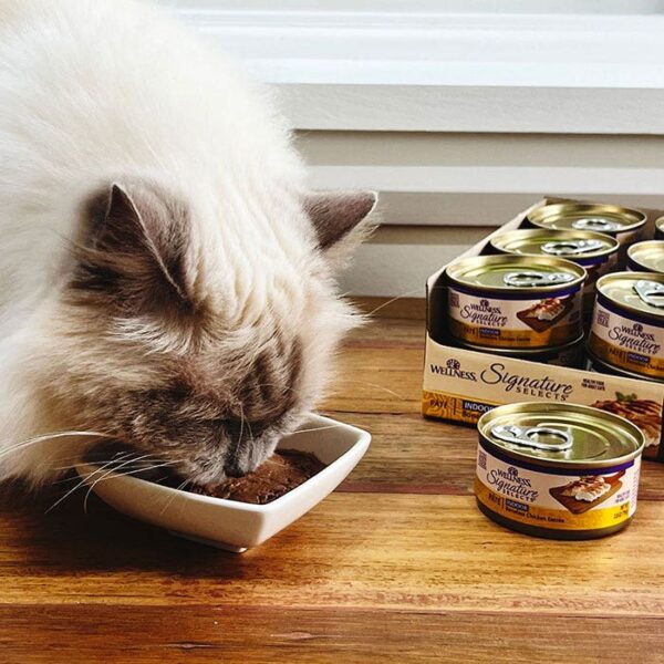 Chicken Pate Indoor Cat Food 79g x 12 - Image 10
