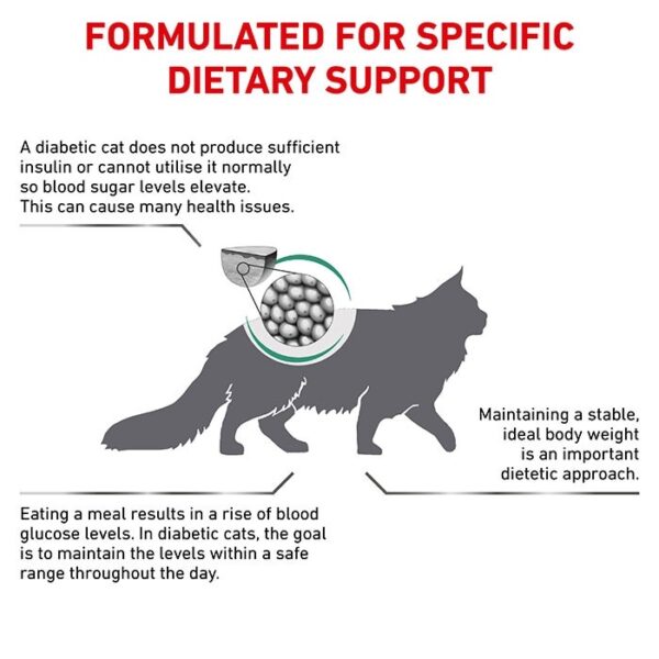 Diabetic Adult Cat Food - Image 3