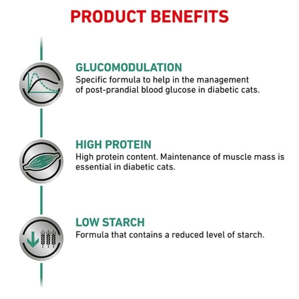 Diabetic Adult Cat Food - Image 4