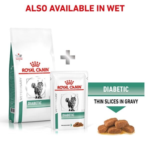 Diabetic Adult Cat Food - Image 8