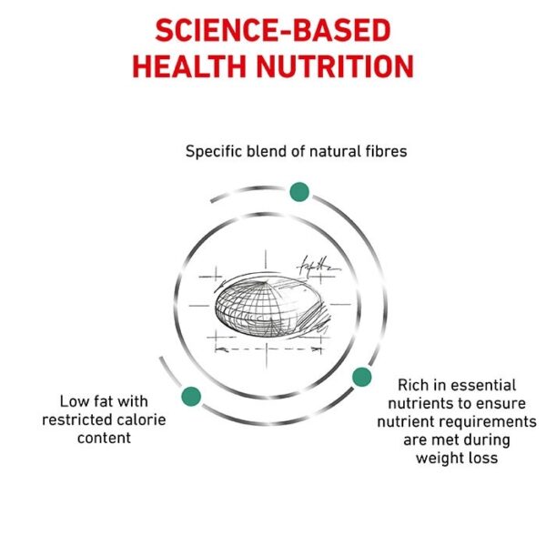 Royal Canin Veterinary Satiety Weight Management Cat Food - Image 3