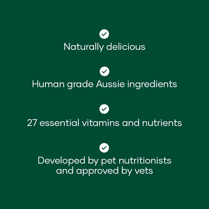 Salmon Bowl Adult Dog Meal 500g x 7 - Image 5